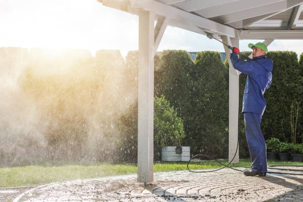 Best Roof Washing  in Brazoria, TX